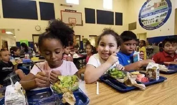 美国学生的午餐