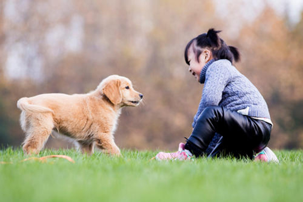 赴美生子的好处是什么？美福嘉儿为大家总结！