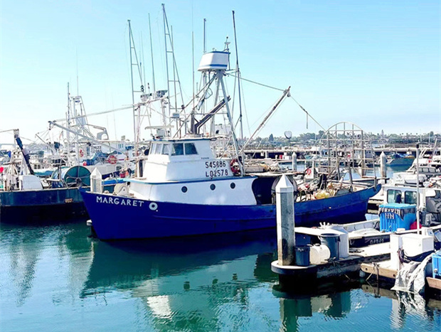 为何明星那么喜欢去美国生小孩 