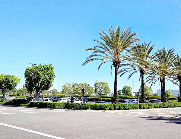 计划去美国生子，选择哪个城市好 