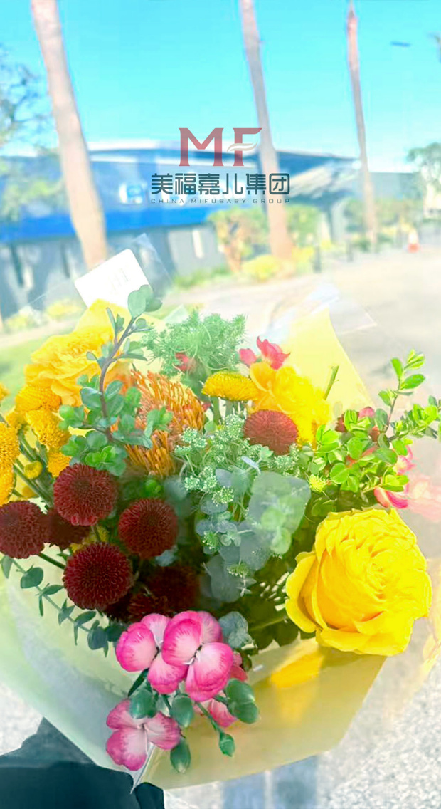 赴美生子：美福嘉儿暖心接机 