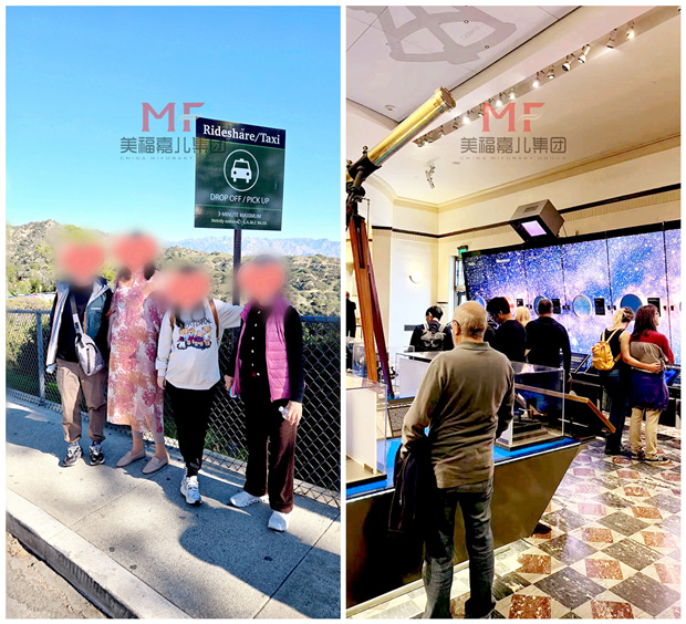 赴美生子|邂逅洛杉矶的独特魅力 