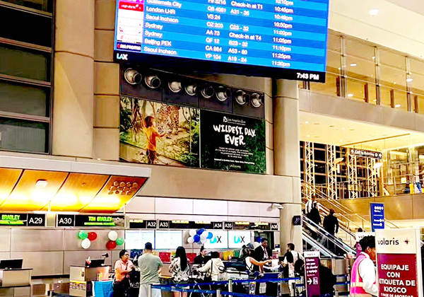 美国产子行程中务必重视的关键环节 