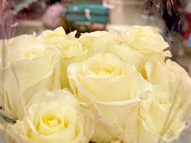 赴美生子|机场接机，开启温暖新程