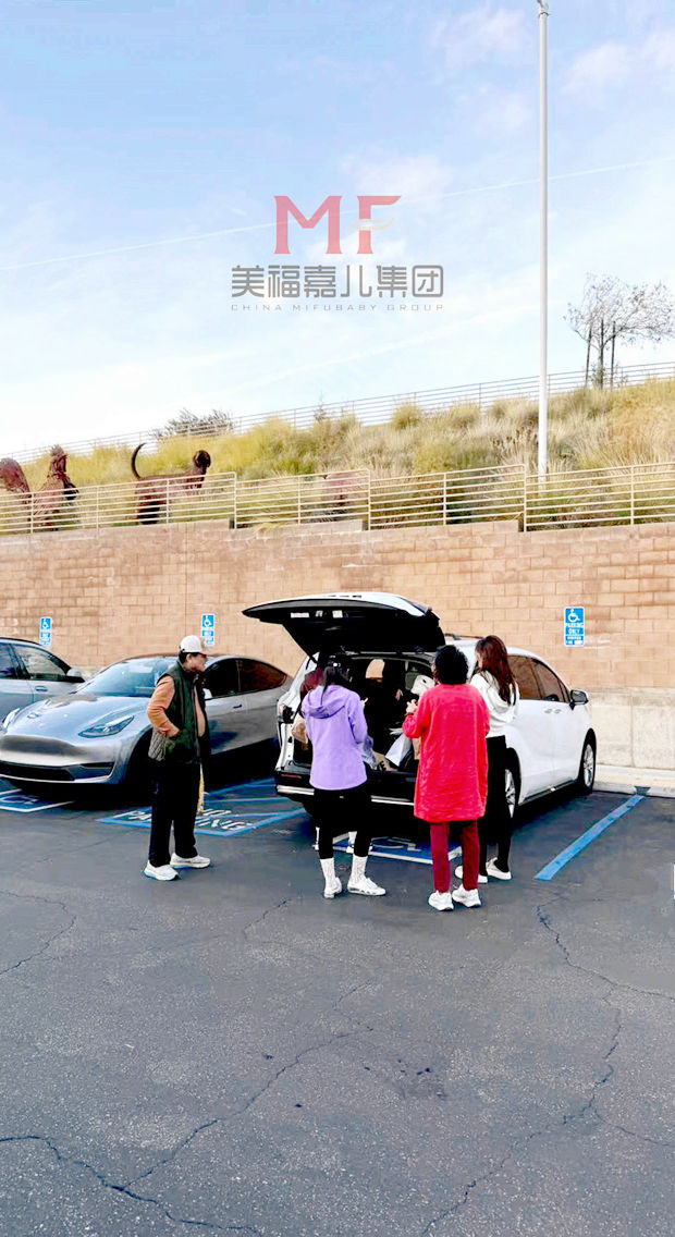 赴美生子|沙漠奥莱购物狂欢之旅 