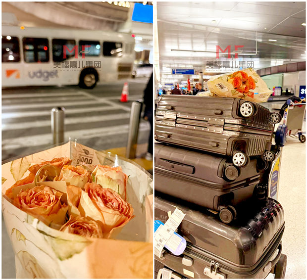 赴美生子|欢迎孕妈入境美国 