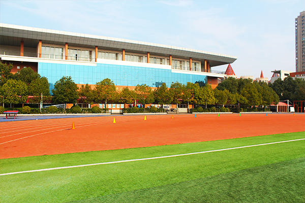 塞班生子后孩子能否回国上学 