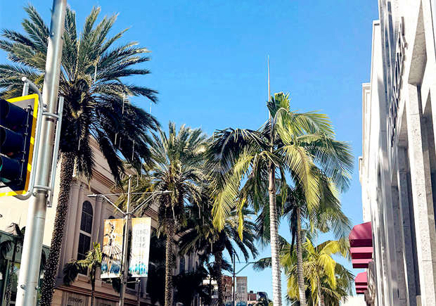 带着大宝去尔湾生子需要注意些什么 