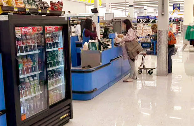 赴加生子待产日常|Walmart采购 赴加生子待产日常|Walmart采购