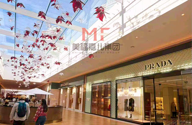 温哥华生子|一场半日的闲逛时光